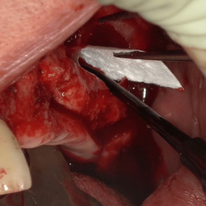 [Translate to Deutsch (Österreich):] 