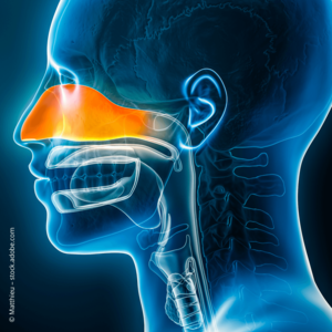 [Translate to Deutsch (Österreich):] 