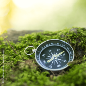 [Translate to Deutsch (Österreich):] 