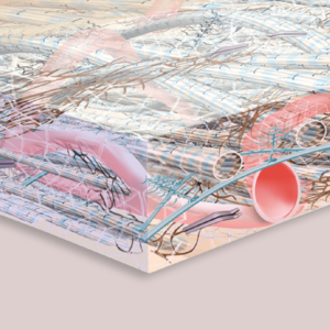 [Translate to Deutsch (Österreich):] 